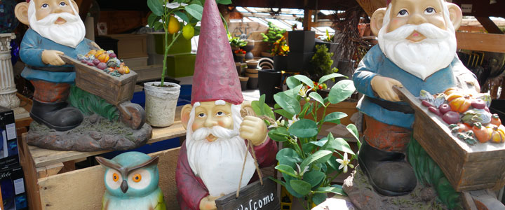 Statuary garden gnomes whimsy