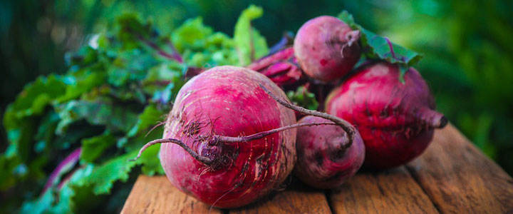 beets harvested beetroot