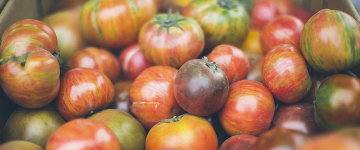 tomato harvest heirlooms