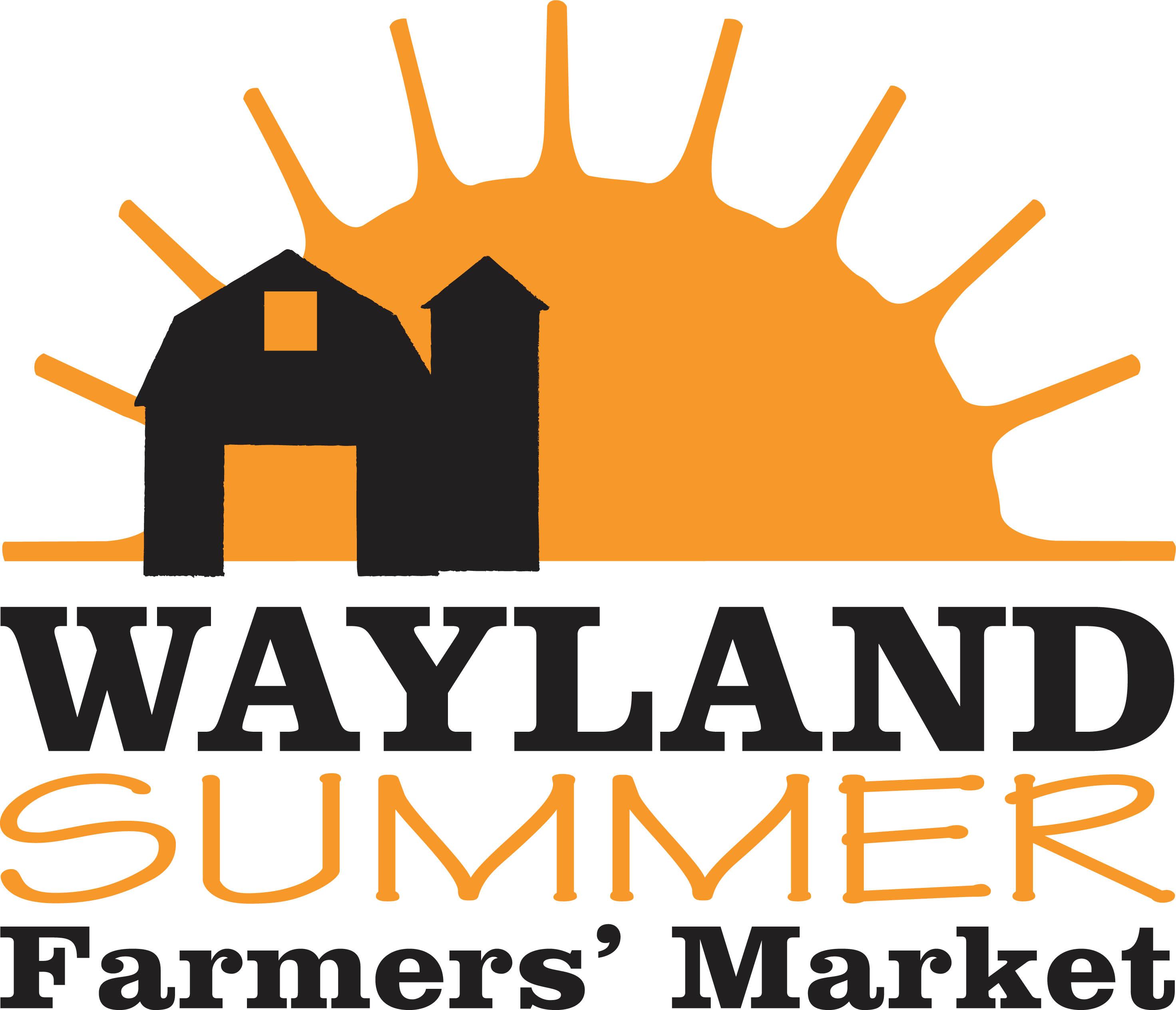  Summer Farmers Market Logo